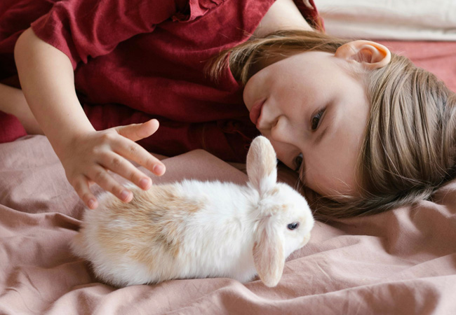 How to care for and comfort your rabbit during the colder months