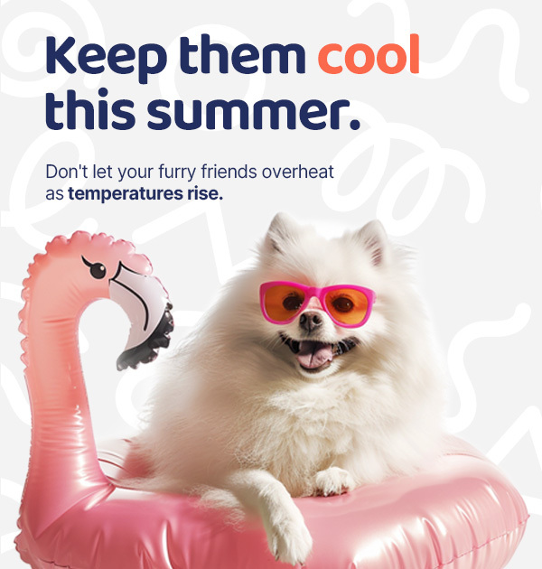 Keep your pets cool this summer