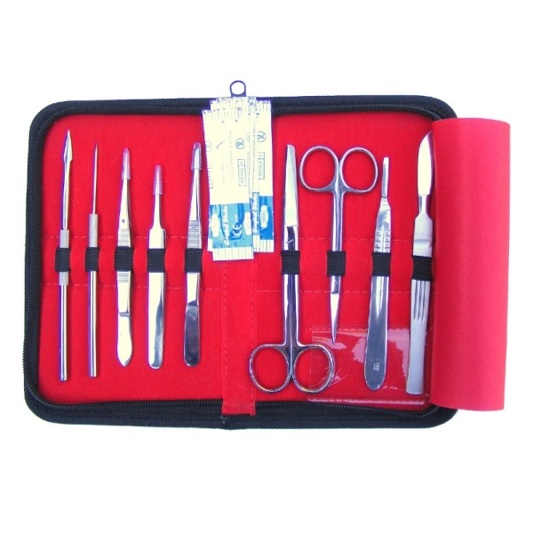 3B Scientific Ten-Piece Dissecting Kit